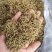 安龙金银花，花蕾，无硫，太阳哂干，颜色好，货量冲足