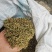 安龙金银花，花蕾，无硫，太阳哂干，颜色好，货量冲足