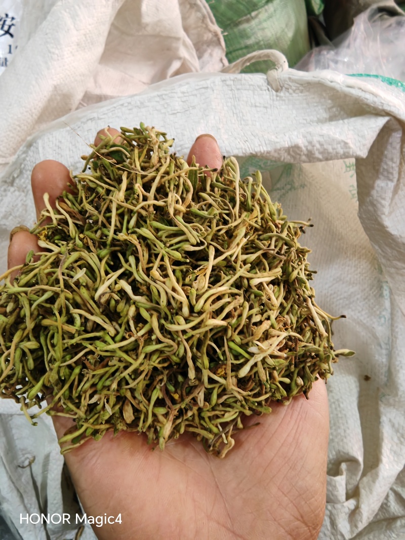 安龙金银花，花蕾，无硫，太阳哂干，颜色好，货量冲足