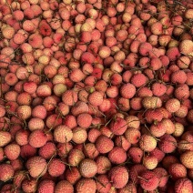 灵山桂味