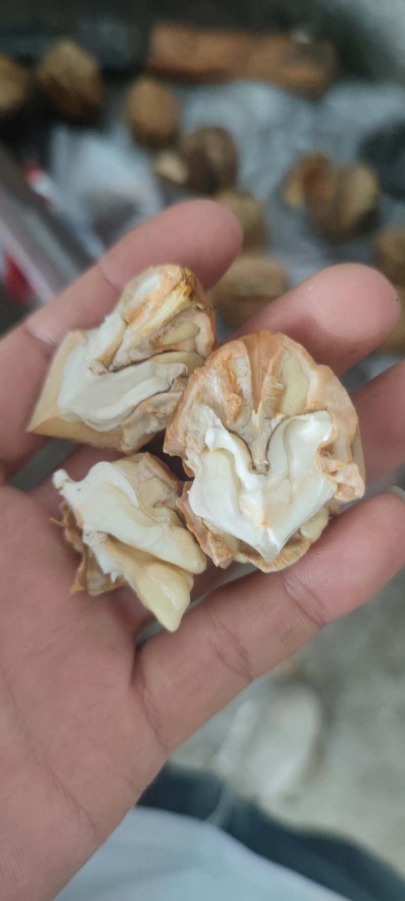 新鲜水果青核桃去壳干核桃仁产地直发电商平台直供