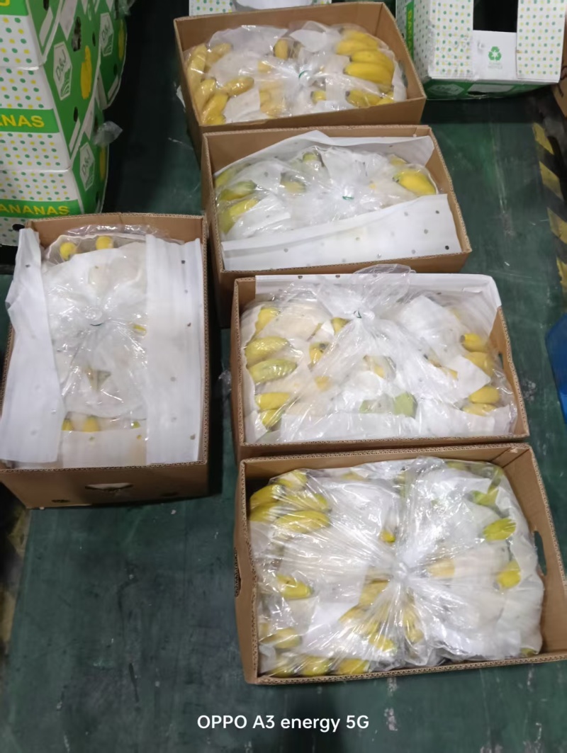 云南香蕉，对接商超，市场，薄皮一整箱批发大果精选甜
