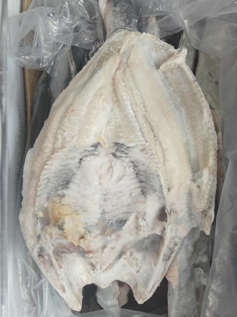 开背清江鱼