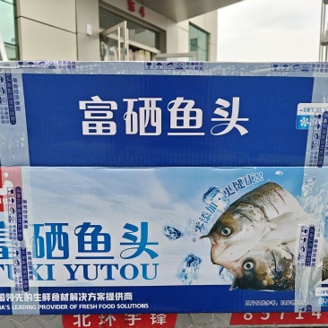 富硒鱼头