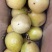 钦蜜9号黄金百香果代发全网**