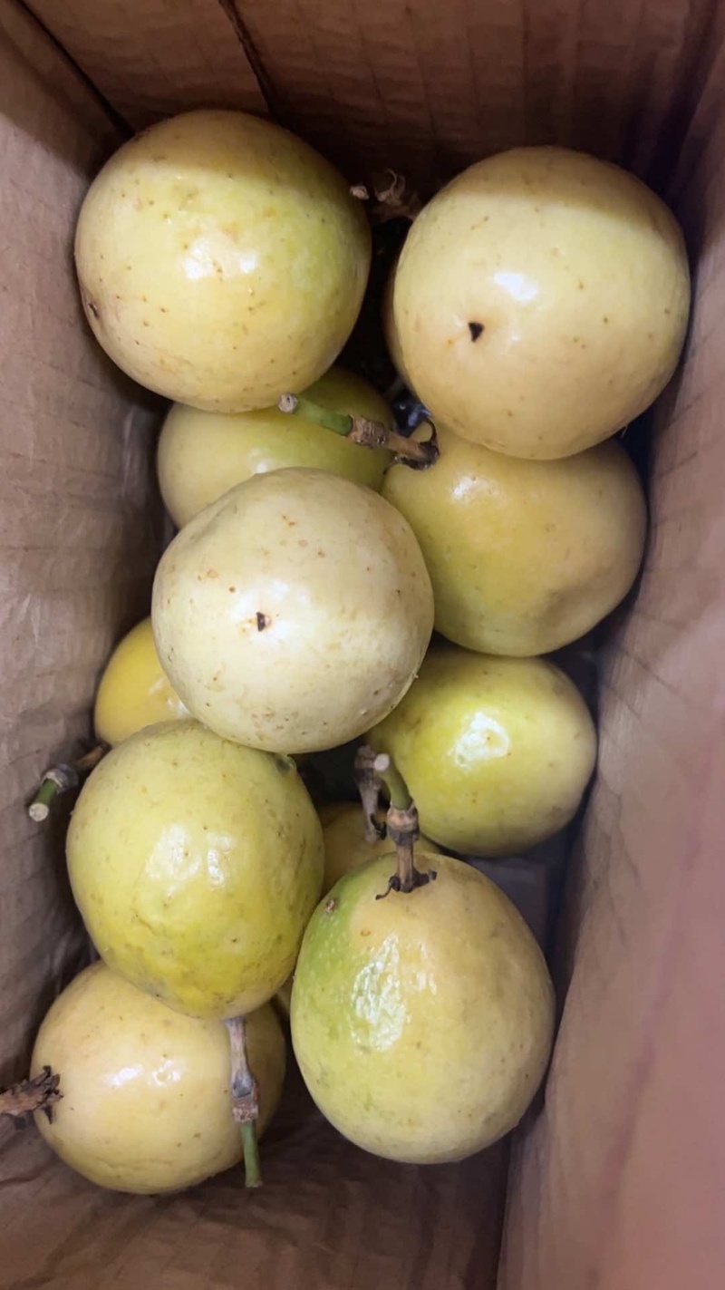 钦蜜9号黄金百香果代发全网**
