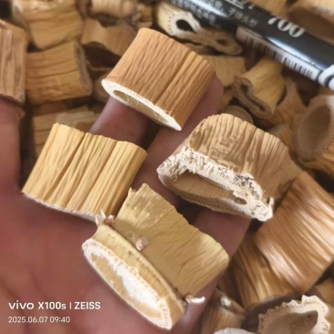 厚肉大芦根新货干净颜色好实体百万销量包你满意