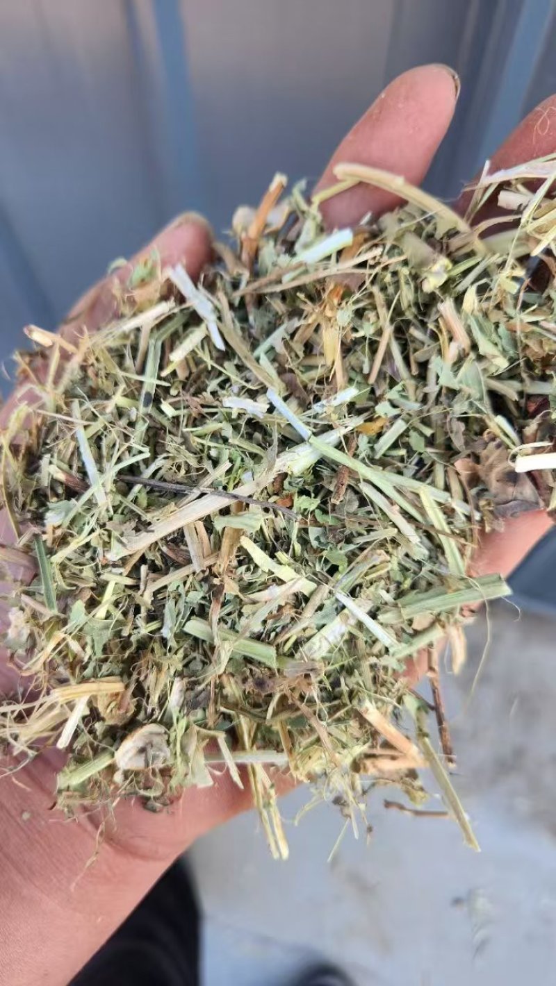 河南花生秧大量出货，有要的联系***********