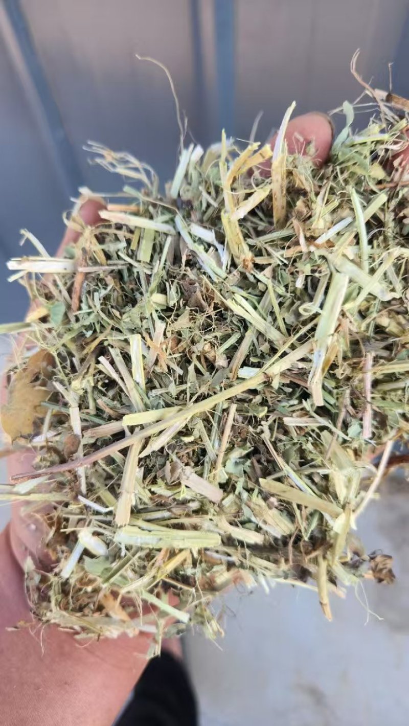 河南花生秧大量出货，有要的联系***********