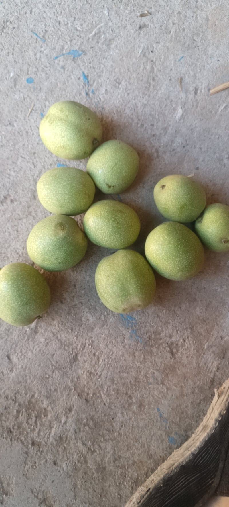 绿皮鲜核桃