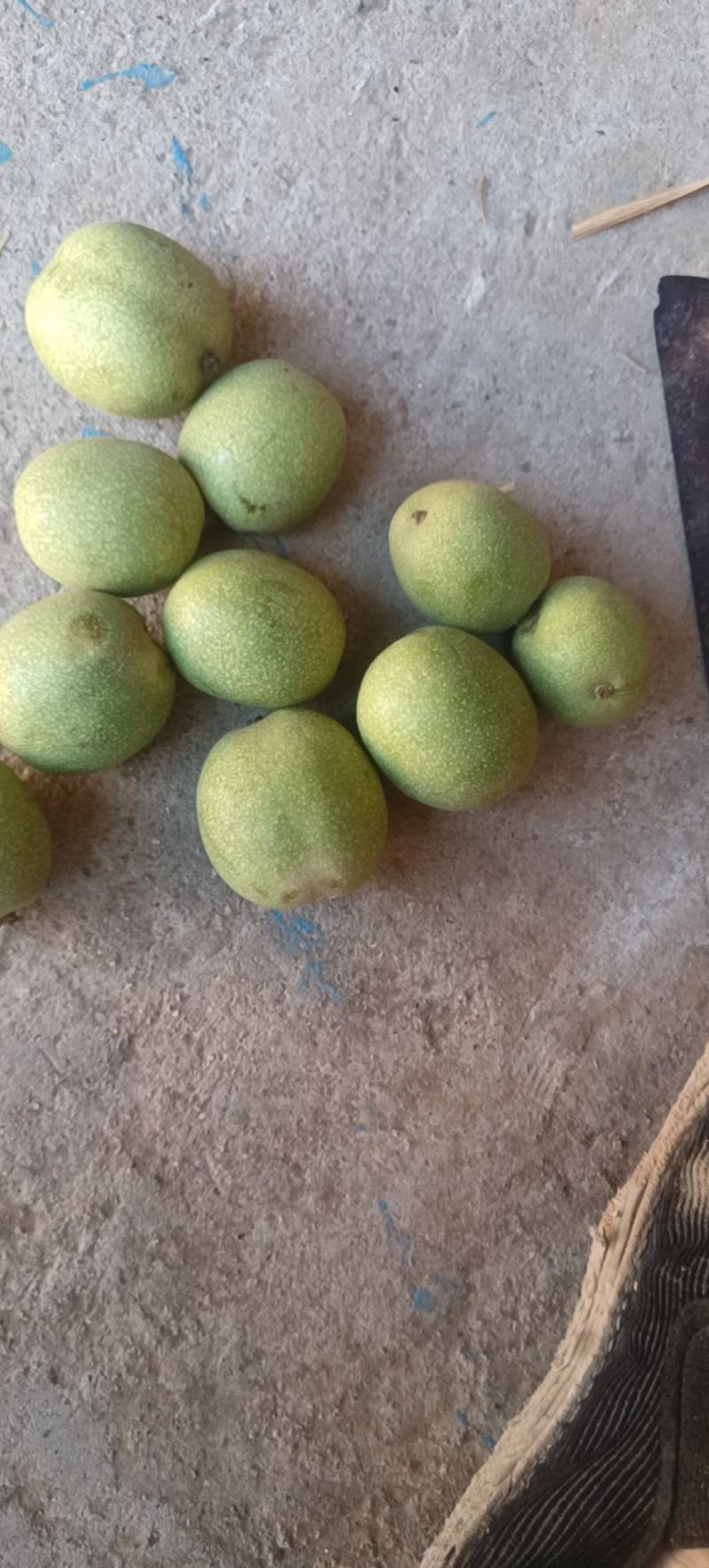 绿皮鲜核桃
