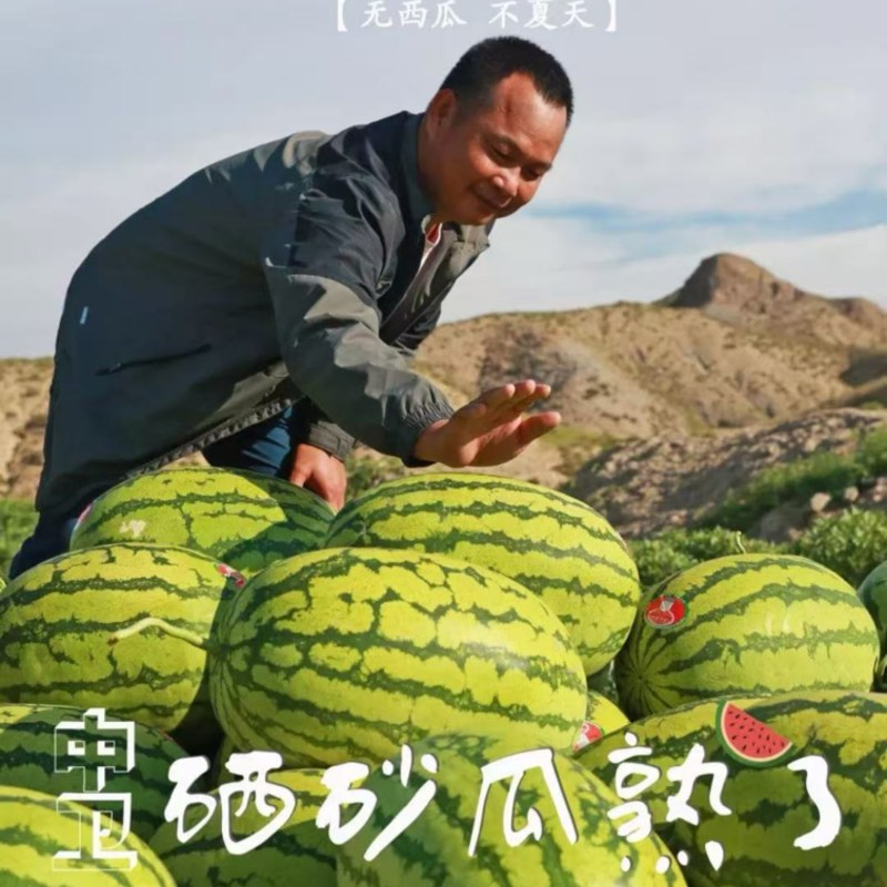 2026年，宁夏硒砂瓜，石头瓜，金城五号西瓜，大量上市！
