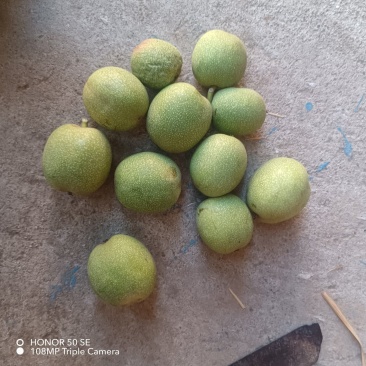 绿皮鲜核桃