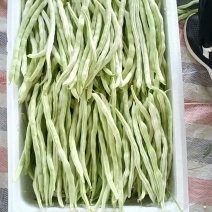 山西应县白条豆角白无丝无筋豆大量供应，货源充足可供电商