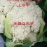 兰州榆中松花