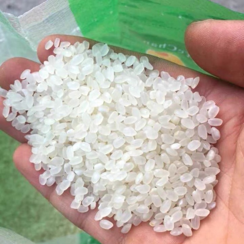 辽宁盘锦蟹田大米批发大量现货