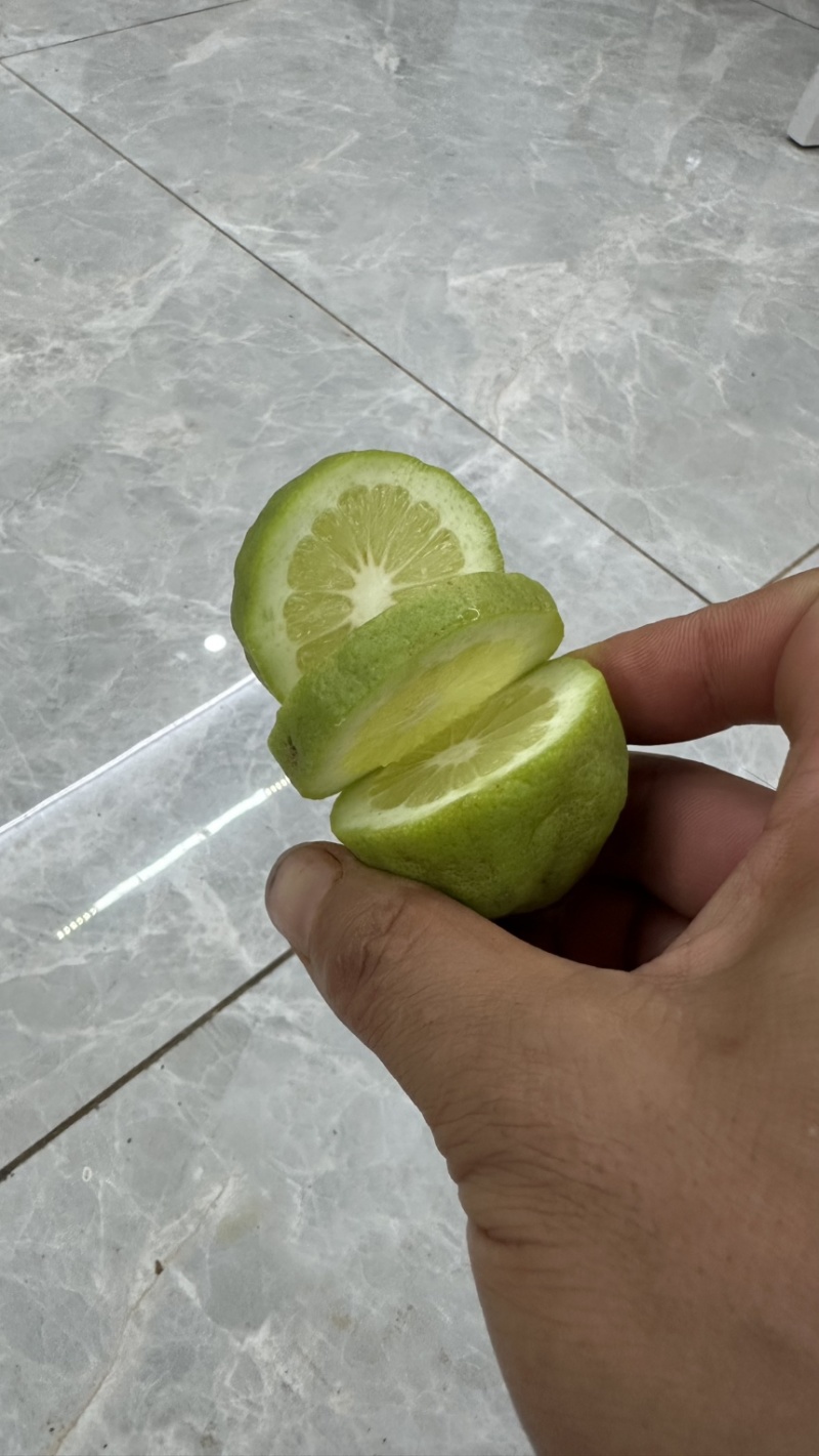 无籽香水柠檬
