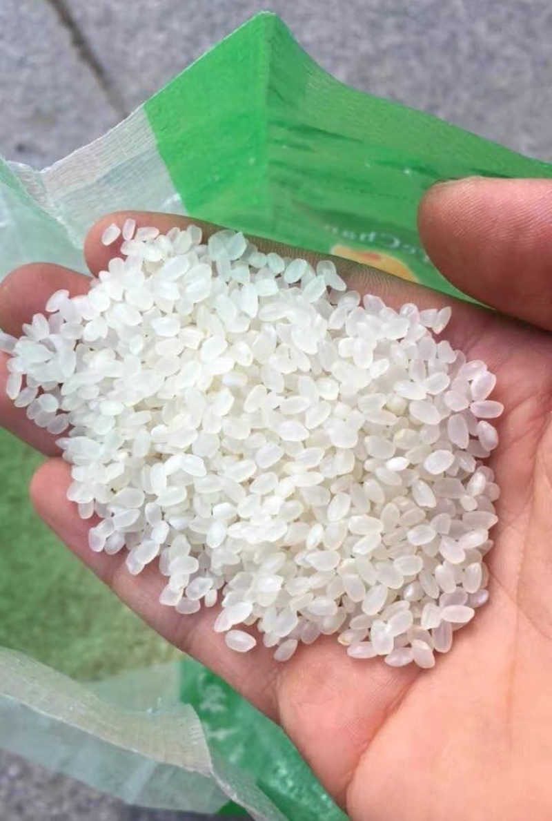 辽宁盘锦蟹田大米批发大量现货