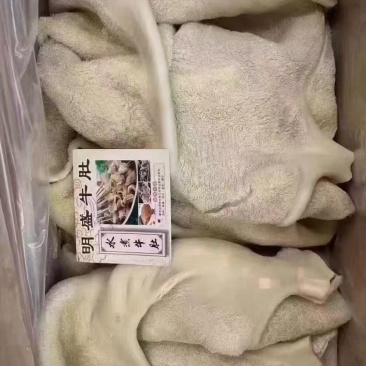 牛肚