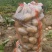 土豆精品土豆