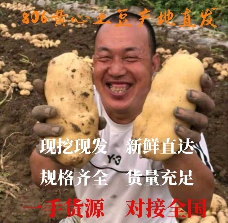 土豆精品土豆