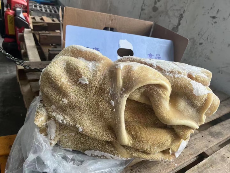 牛肚