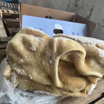 牛肚