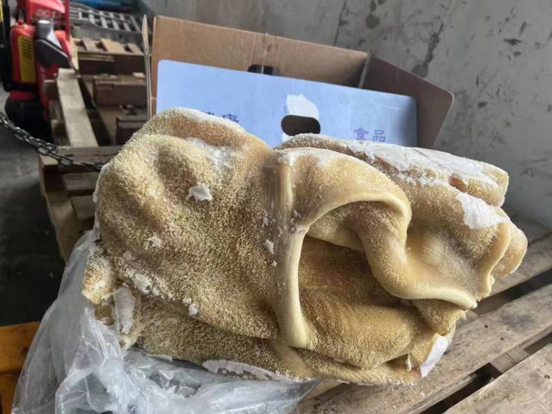 牛肚