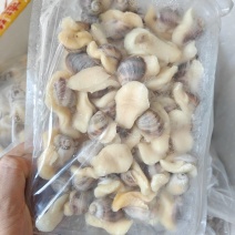 珍珠鲍螺猪肉螺长年供应
