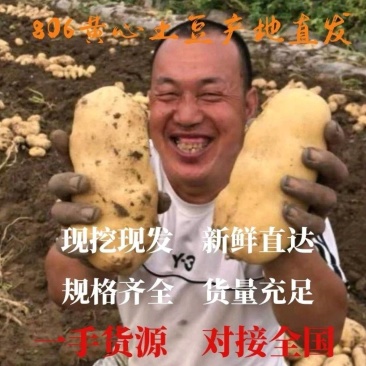 土豆精品土豆