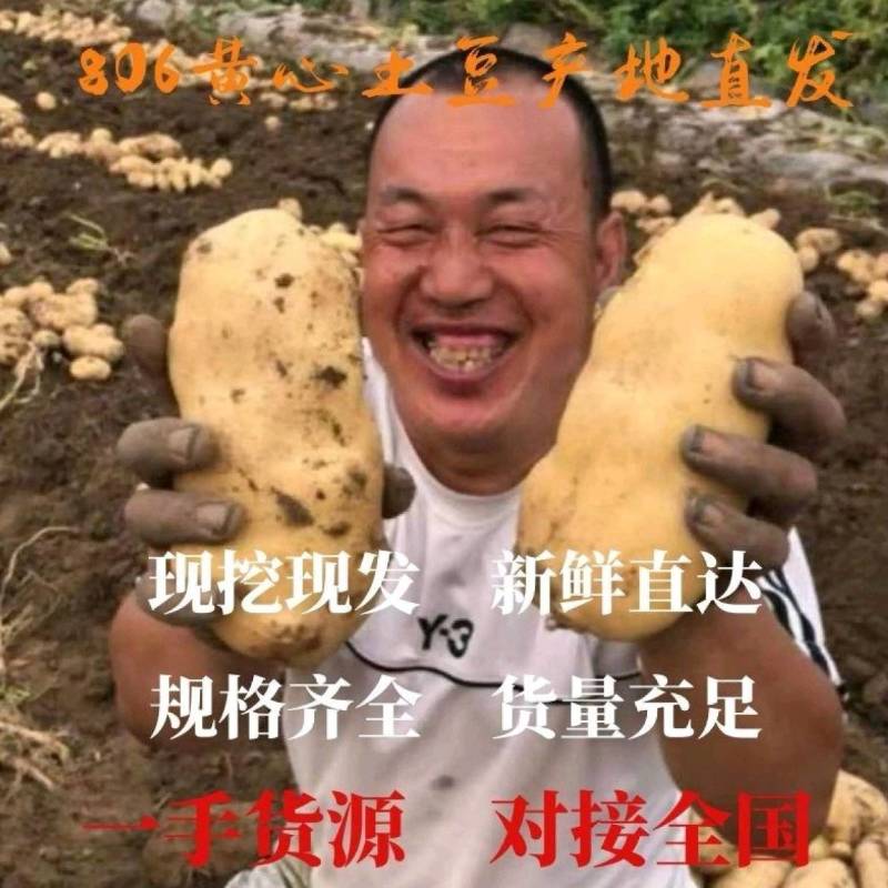 土豆精品土豆