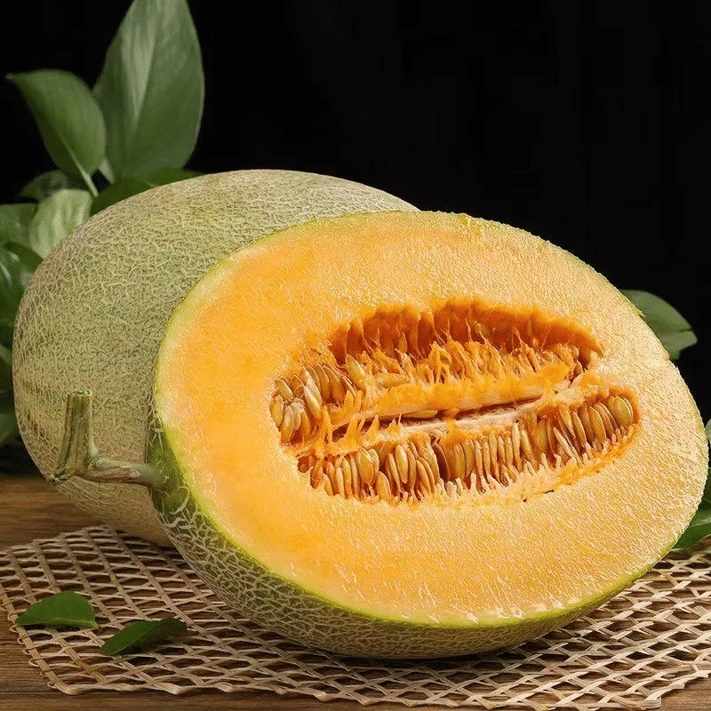 【哈密瓜】宁夏春蜜哈密瓜产地直发包您满意量大从优欢迎采购