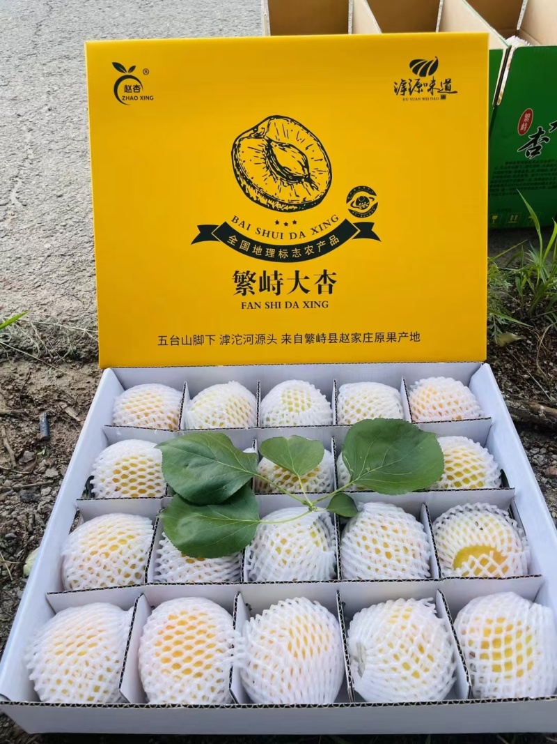 山西繁峙特产赵庄白水杏