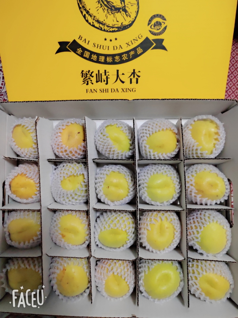 山西繁峙特产赵庄白水杏