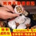 **卤料料包五香卤肉调料香料大全炖肉正宗卤料包卤鸡腿商用