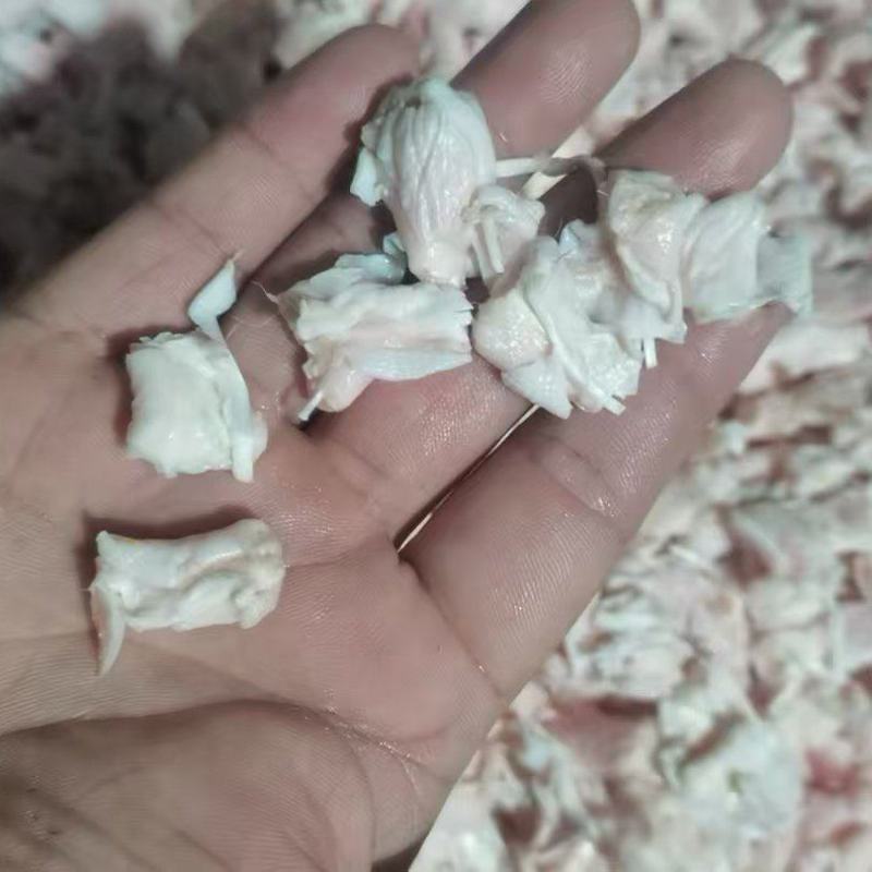 脚筋