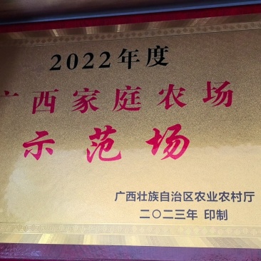 37%左右出油量，15万斤油菜籽待售