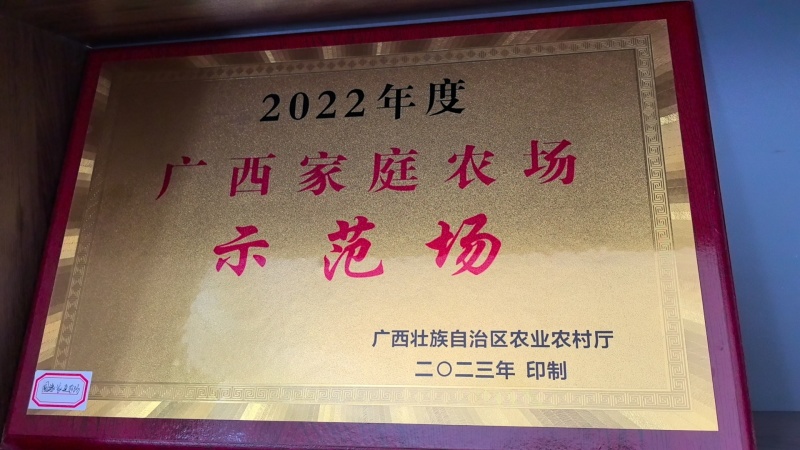 37%左右出油量，15万斤油菜籽待售