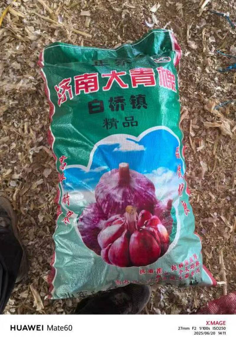 山东冠县大蒜大量上市，可以对接市场超市平台商超，等等。