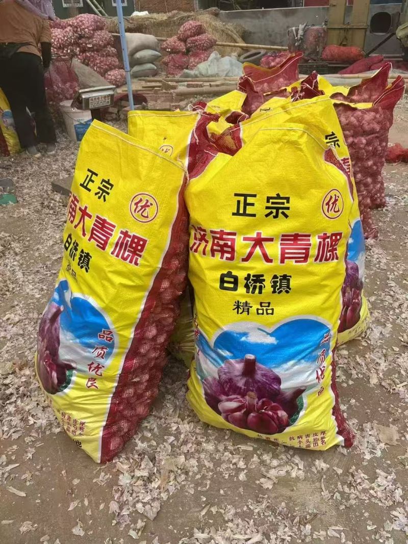 山东冠县大蒜大量上市，可以对接市场超市平台商超，等等。