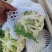 有机花菜白面青梗松花菜量大质优现货速发欢迎来电