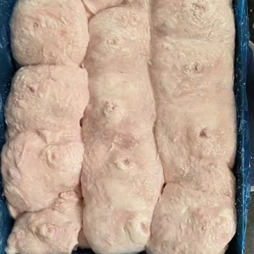 母猪奶沙厂家新货规格齐全质量好可以视频看货