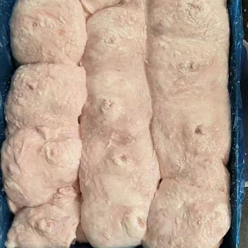 母猪奶沙厂家新货规格齐全质量好可以视频看货