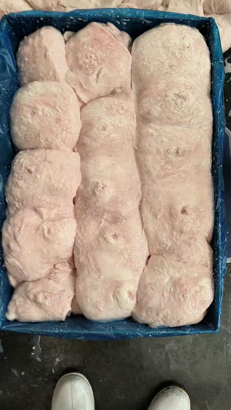母猪奶沙厂家新货规格齐全质量好可以视频看货