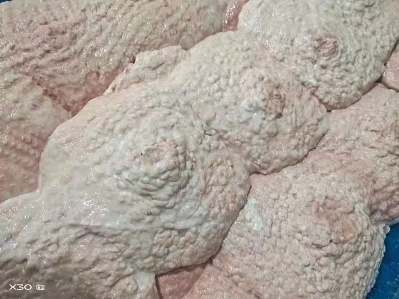 母猪奶沙厂家新货规格齐全质量好可以视频看货