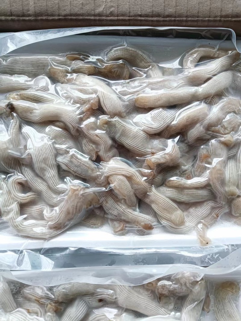 沙虫，电商食材沙虫，去内脏沙虫，酒店食材