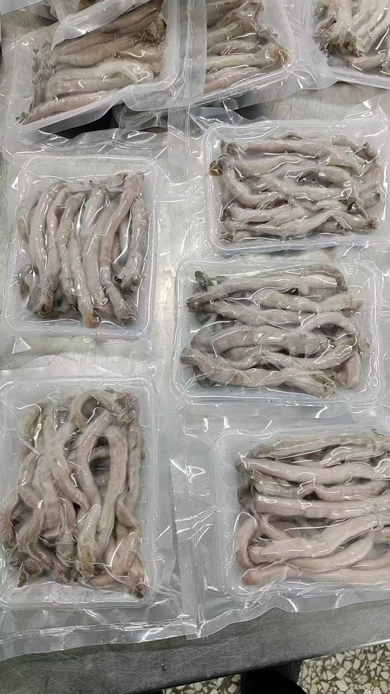 沙虫，电商食材沙虫，去内脏沙虫，酒店食材