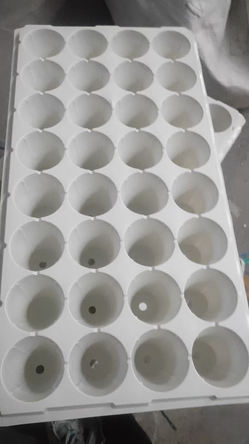 加深32孔林木草莓育苗盘白色蓝色现货充足