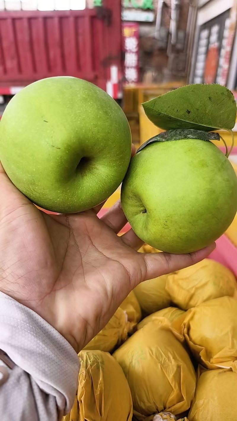翠玉梨，酥脆一号，翠冠梨各种梨产地，果型端正口感脆甜