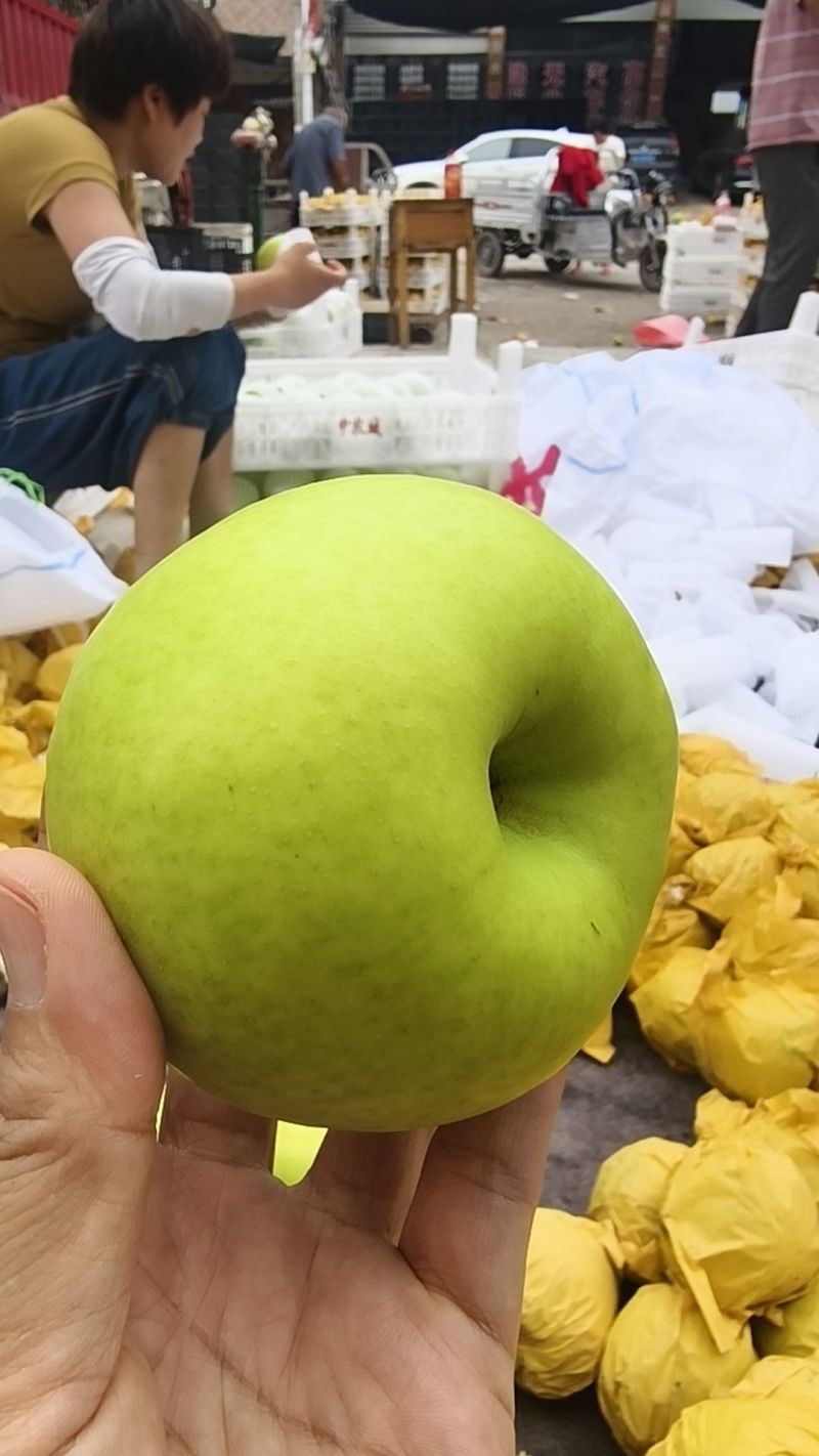 翠玉梨，酥脆一号，翠冠梨各种梨产地，果型端正口感脆甜